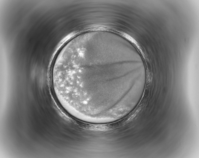 X0000084521090200703161543