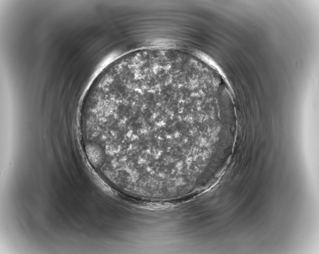 X0000084521091200703161543