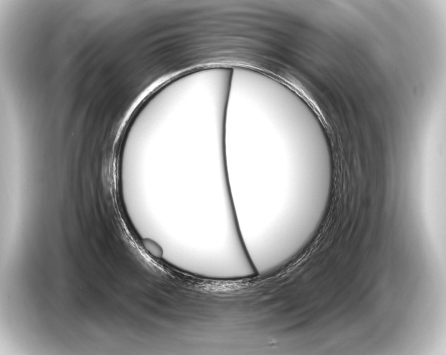 X0000084521092200703161543