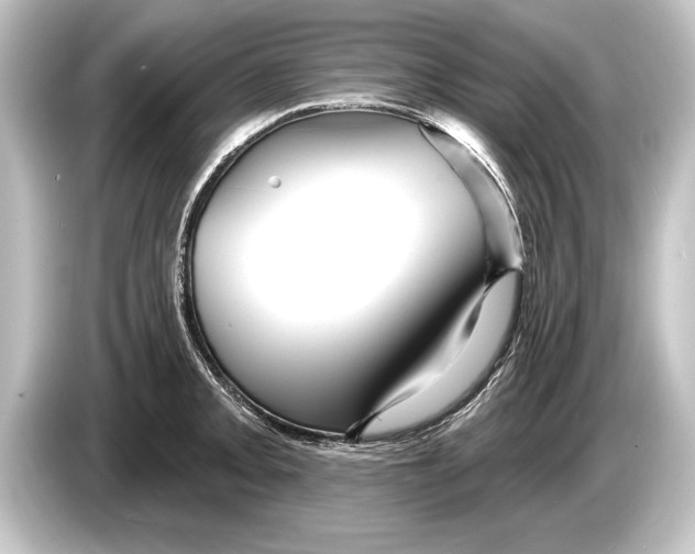 X0000084521093200703161543