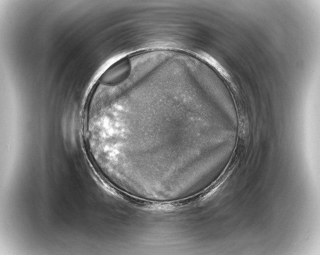 X0000084521094200703161543