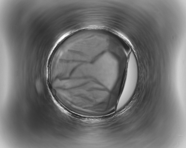 X0000084521095200703161543