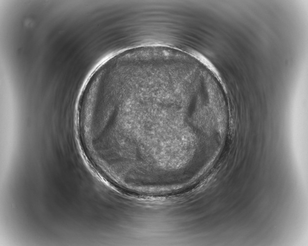 X0000084521096200703161543