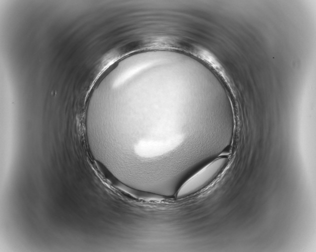 X0000084521097200703161543