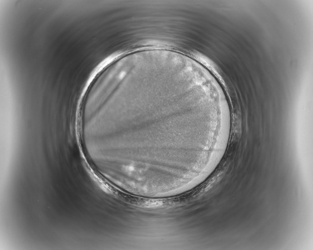 X0000084521098200703161543