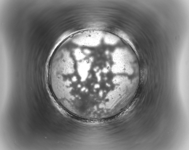 X0000084521099200703161543