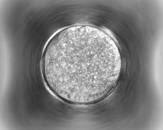 X0000084521100200703161543