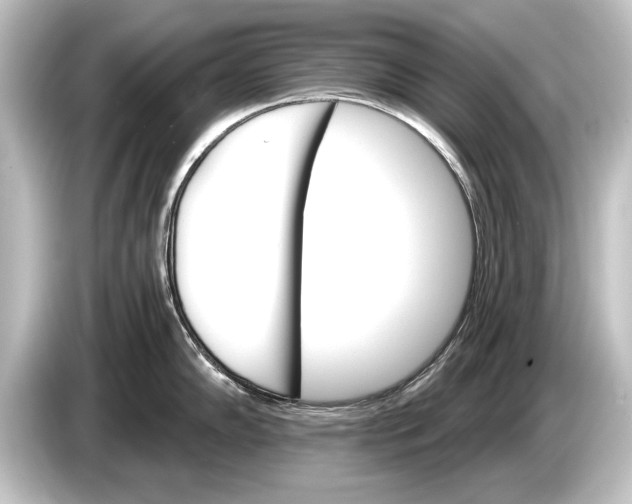 X0000084521102200703161543