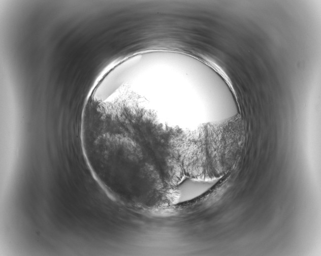 X0000084521103200703161543