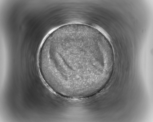 X0000084521104200703161543