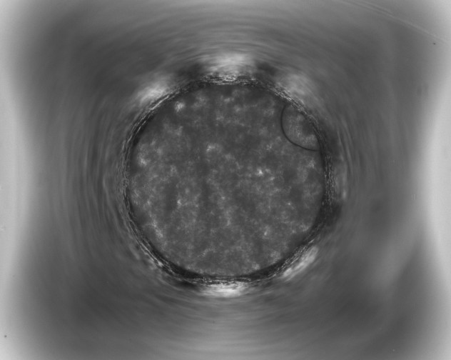 X0000084521105200703161542