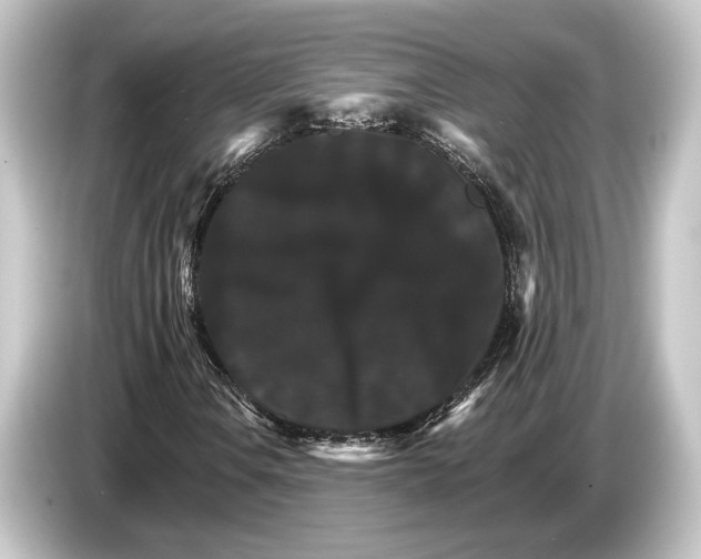 X0000084521106200703161542