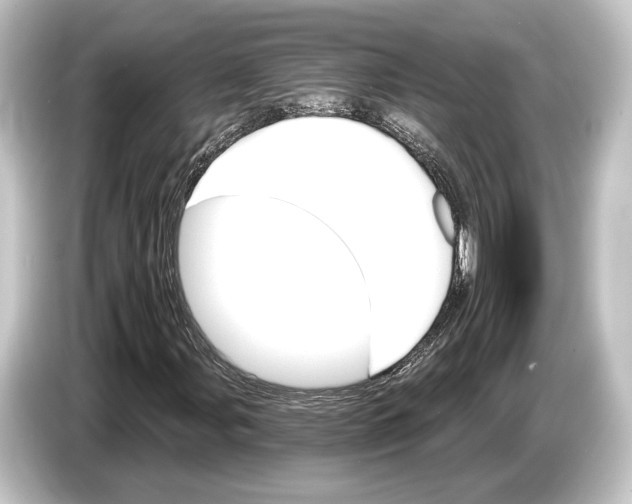 X0000084521107200703161542