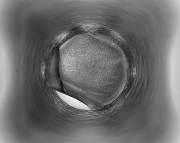 X0000084521108200703161542