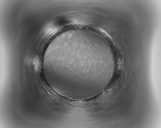 X0000084521110200703161542