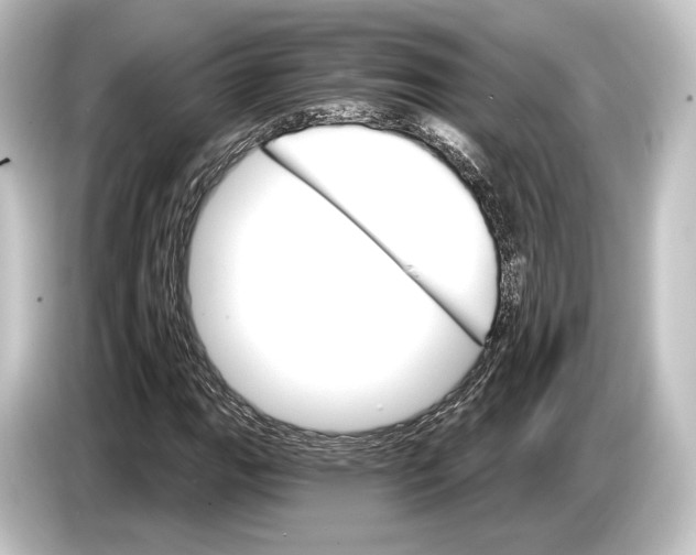 X0000084521111200703161542