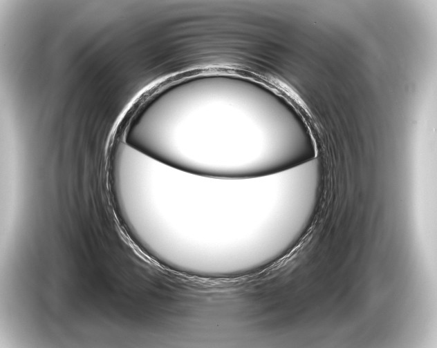 X0000084521116200703161542