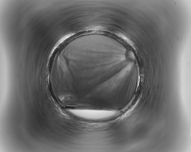 X0000084521117200703161542