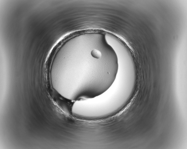 X0000084521118200703161542