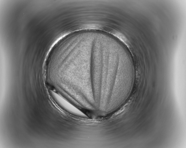 X0000084521119200703161542