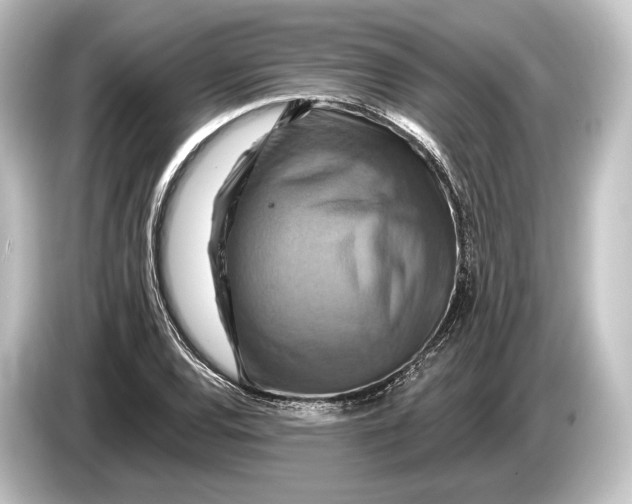 X0000084521120200703161542