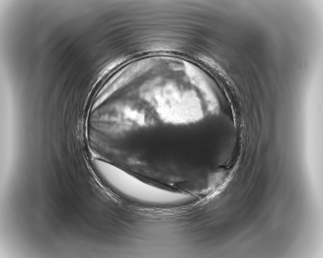 X0000084521121200703161542