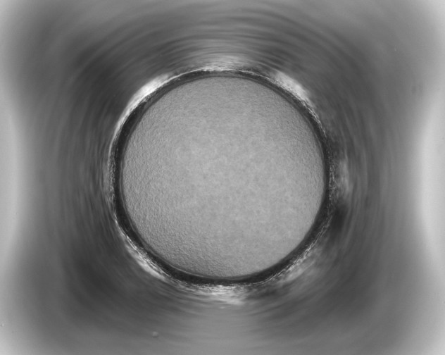 X0000084521122200703161542