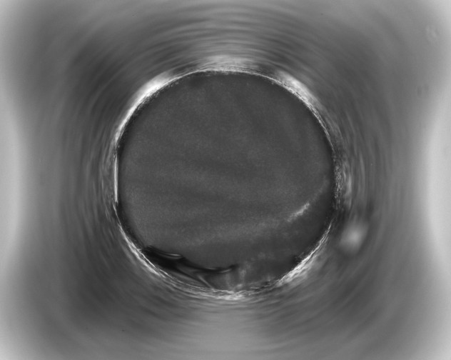 X0000084521123200703161542