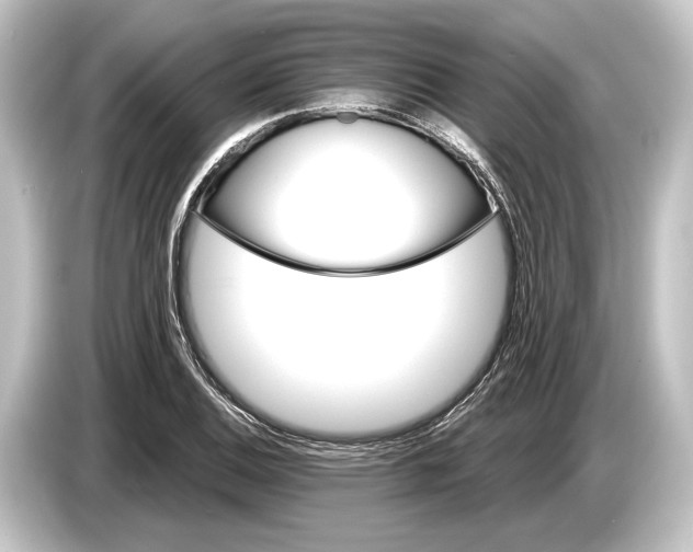 X0000084521124200703161542