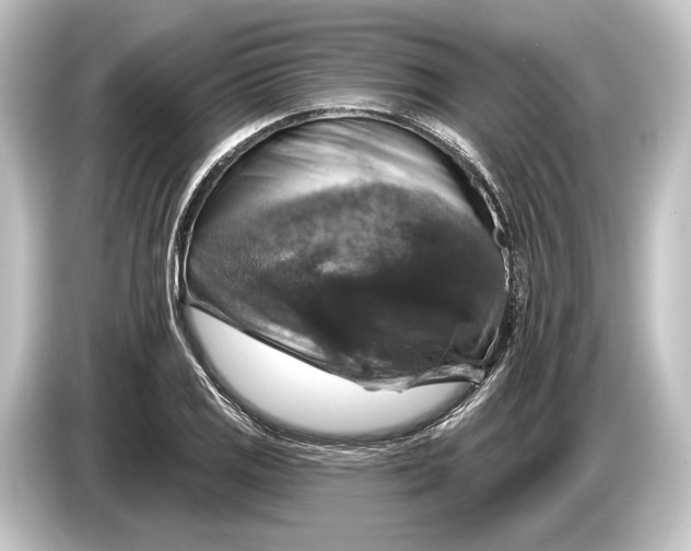 X0000084521125200703161542