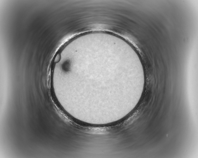 X0000084521126200703161542