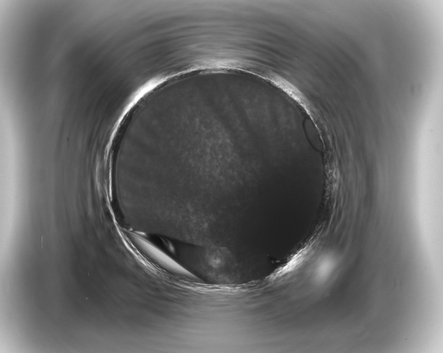 X0000084521127200703161542