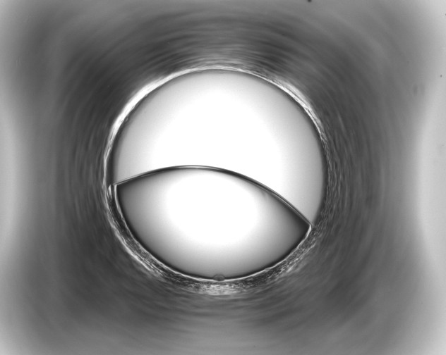 X0000084521128200703161542