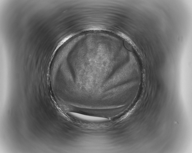 X0000084521129200703161542