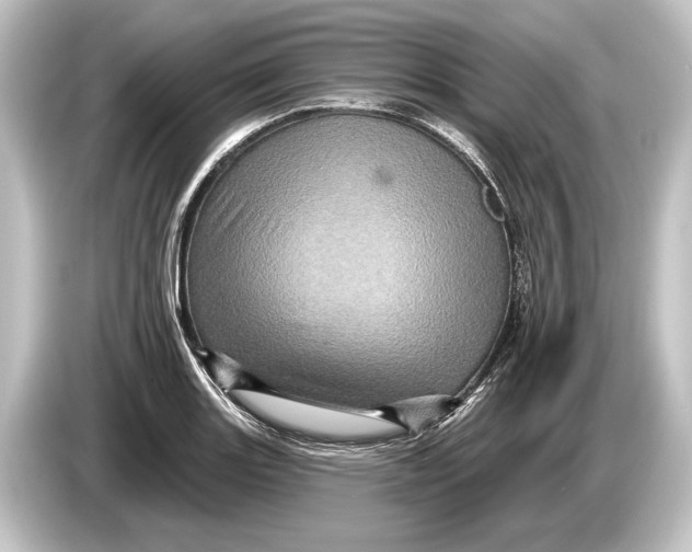 X0000084521131200703161542