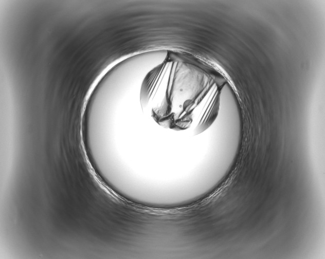 X0000084521132200703161542