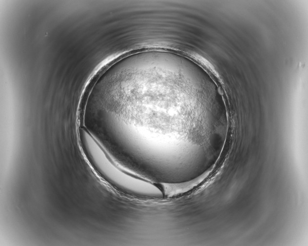 X0000084521133200703161542