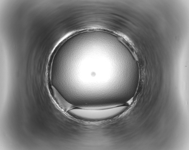 X0000084521134200703161542