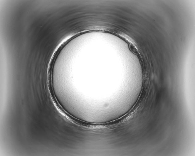 X0000084521135200703161542