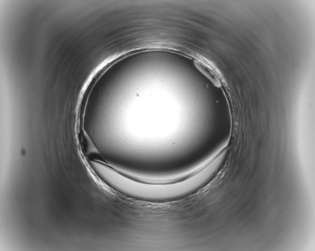 X0000084521136200703161542