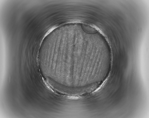 X0000084521137200703161542