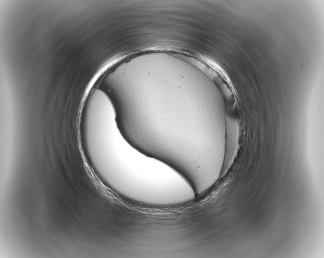 X0000084521138200703161542