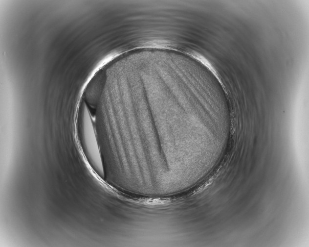 X0000084521139200703161543