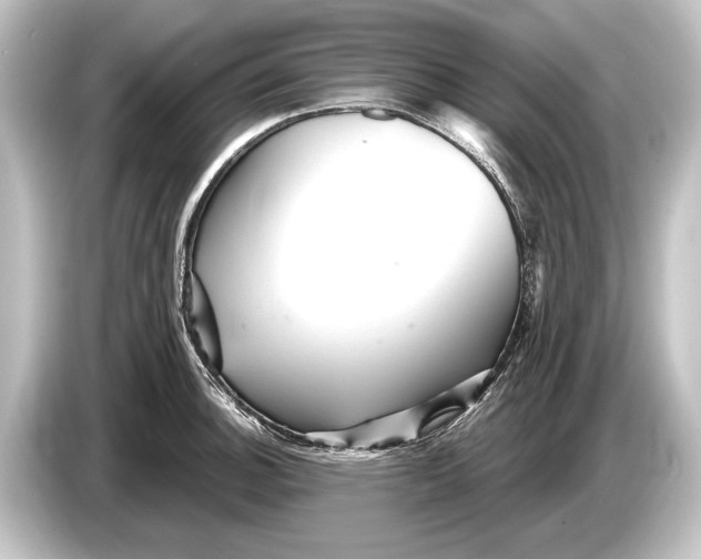 X0000084521140200703161543