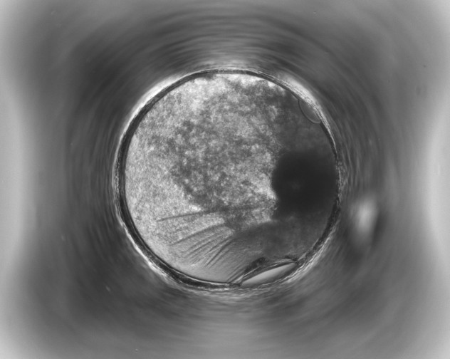 X0000084521141200703161543