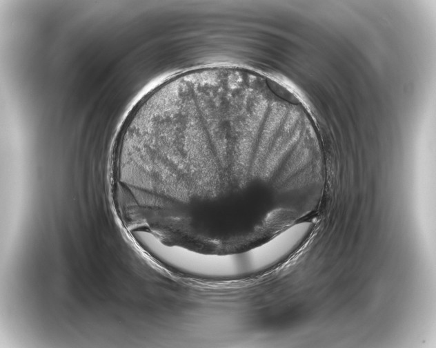 X0000084521142200703161543