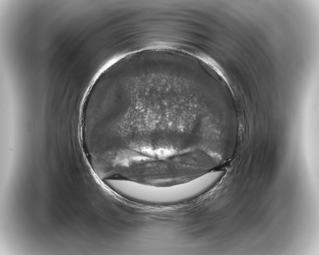 X0000084521143200703161543