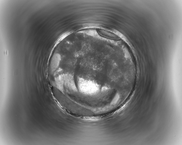 X0000084521145200703161543