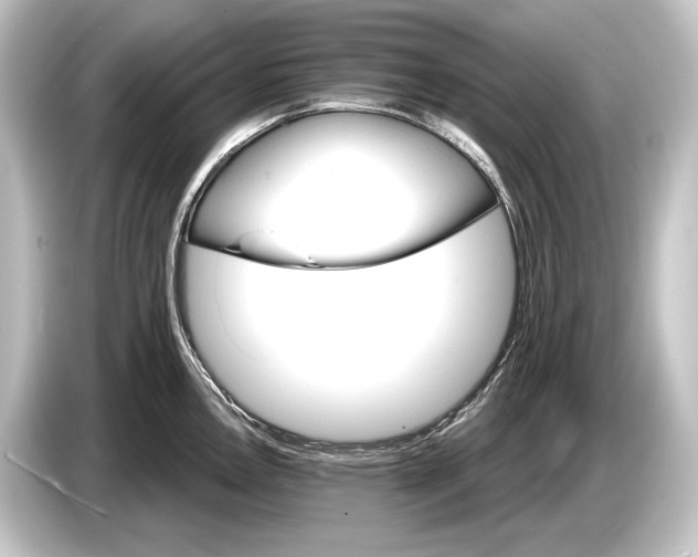 X0000084521146200703161543