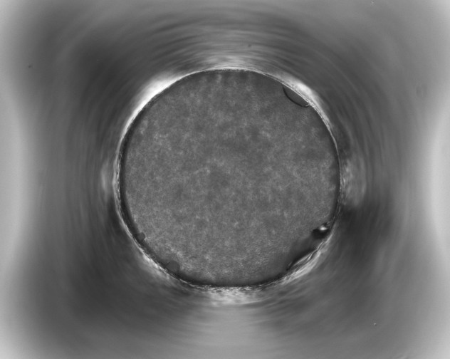 X0000084521149200703161543